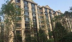 官方爆料枫丹实景视频下载,官方爆料带你领略梦幻仙境